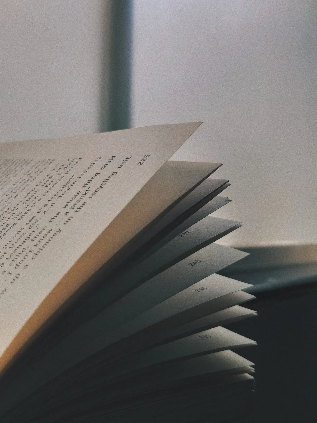 The fanned-out paper pages of an open book